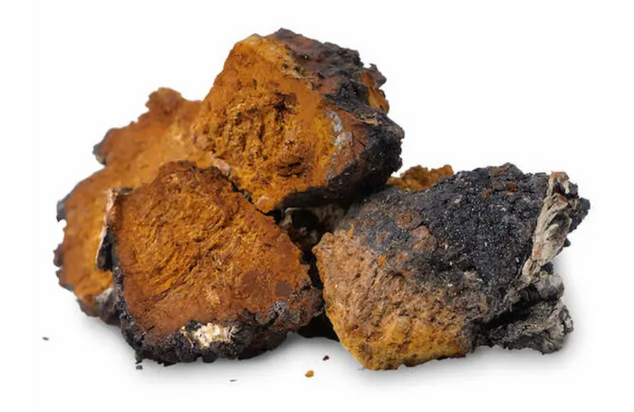 Chaga Mushrooms: 3 Benefits That Put The 